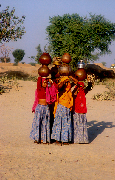 India-Rajasthan-water-carriers